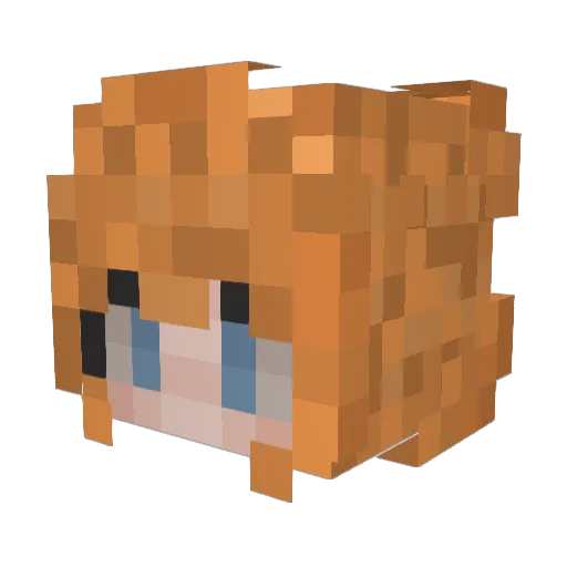 rinnyroo1012 Minecraft avatar head, 3D render