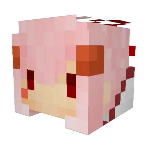 rinokisu Minecraft avatar head, 3D render