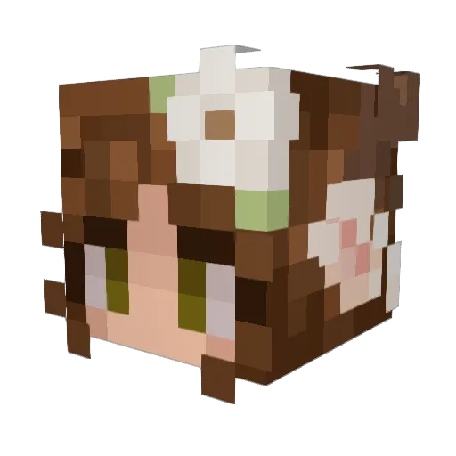 rinred13 Minecraft avatar head, 3D render