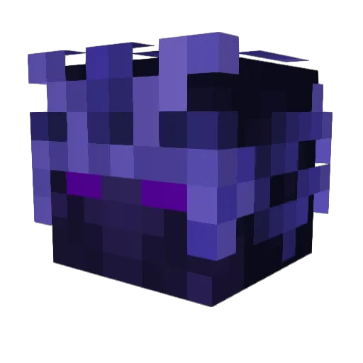 rinseyyy Minecraft avatar head, 3D render