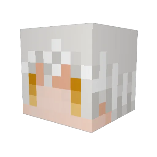 rintaro9 Minecraft avatar head, 3D render