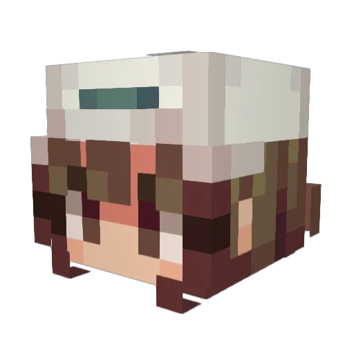 riofox_55 Minecraft avatar head, 3D render