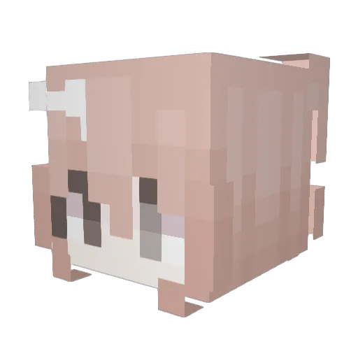 riolah Minecraft avatar head, 3D render