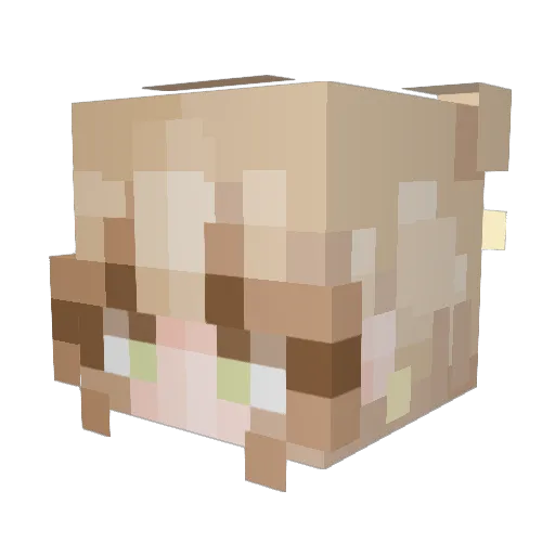 riomelia_ Minecraft avatar head, 3D render