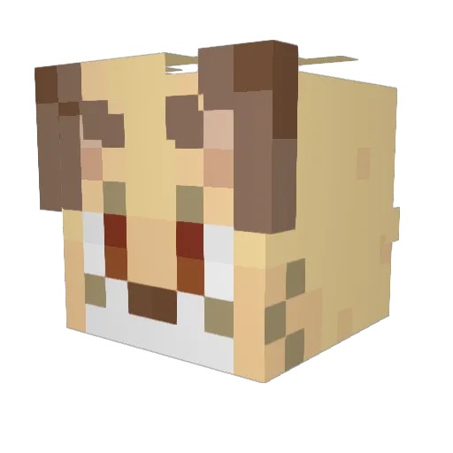 rionzu Minecraft avatar head, 3D render