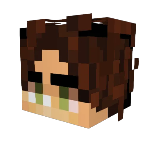 rioo11 Minecraft avatar head, 3D render