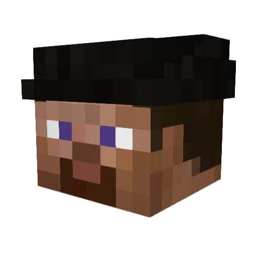 riotfoxtrot_ Minecraft avatar head, 3D render