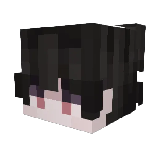 rip10101 Minecraft avatar head, 3D render