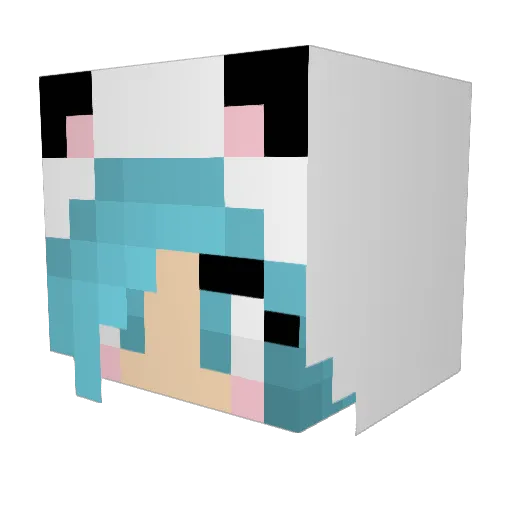 rip22 Minecraft avatar head, 3D render
