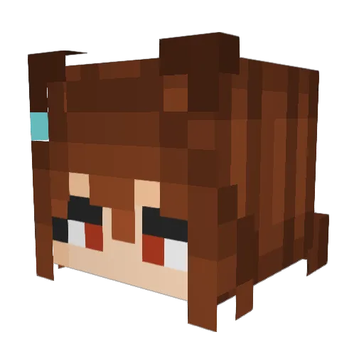 rip_bill Minecraft avatar head, 3D render