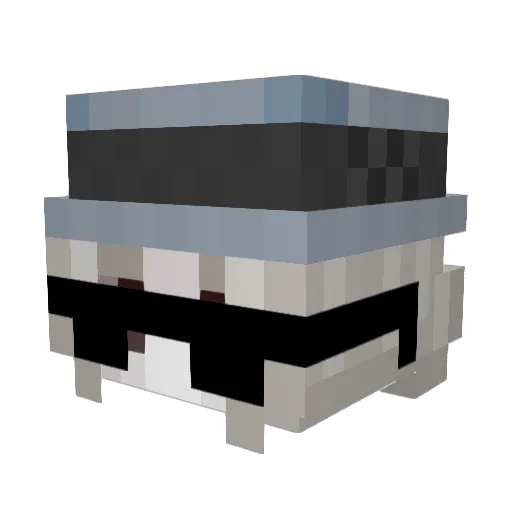 rip_fee Minecraft avatar head, 3D render