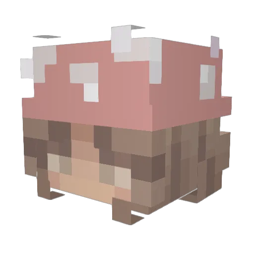 ripa11y Minecraft avatar head, 3D render