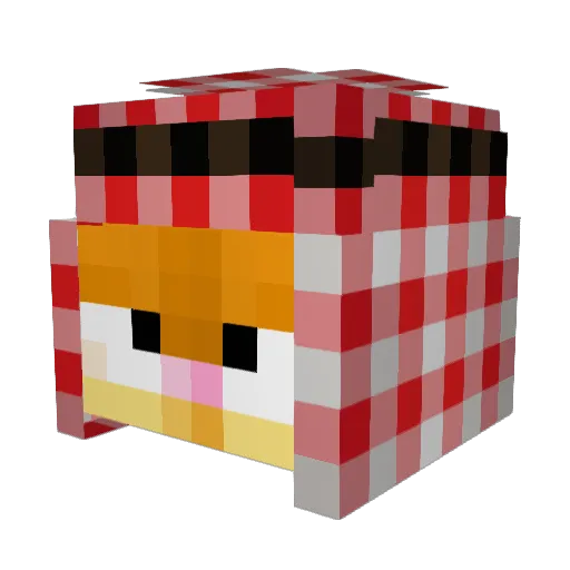 ripan_ Minecraft avatar head, 3D render