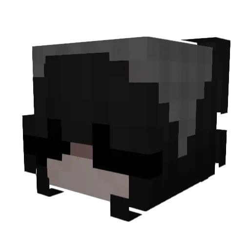 ripavoid Minecraft avatar head, 3D render