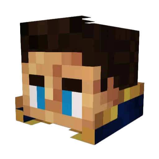 ripesack Minecraft avatar head, 3D render