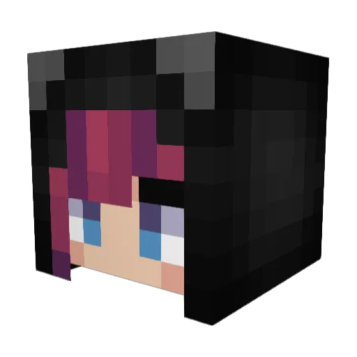 ripharmin Minecraft avatar head, 3D render