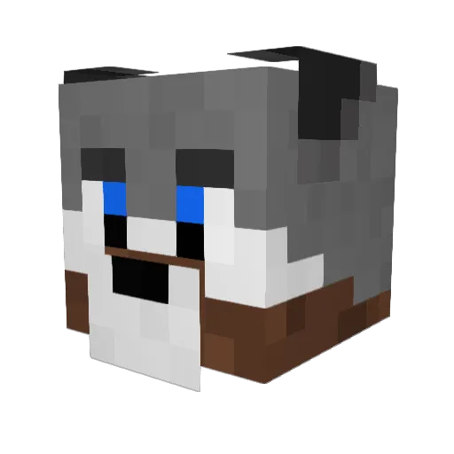 riphihi Minecraft avatar head, 3D render