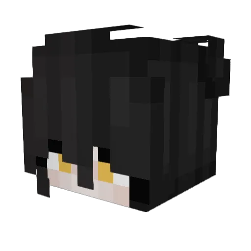 riplightning Minecraft avatar head, 3D render