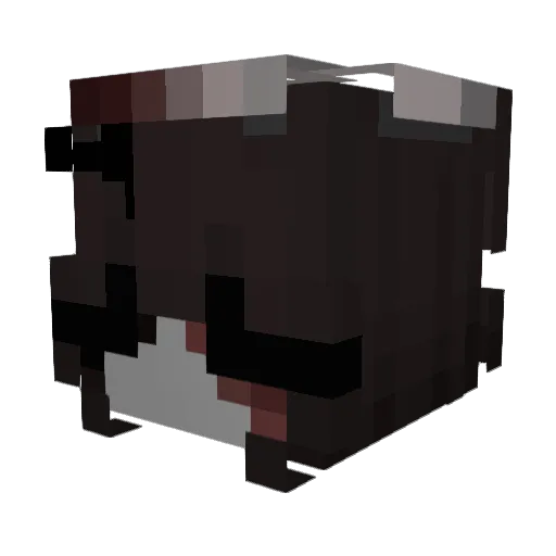 ripliz Minecraft avatar head, 3D render