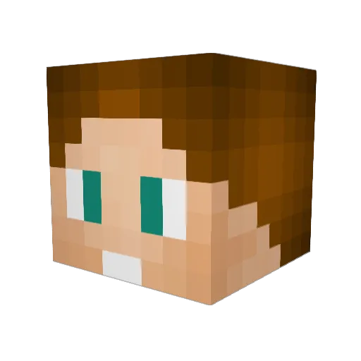 ripmixryan Minecraft avatar head, 3D render