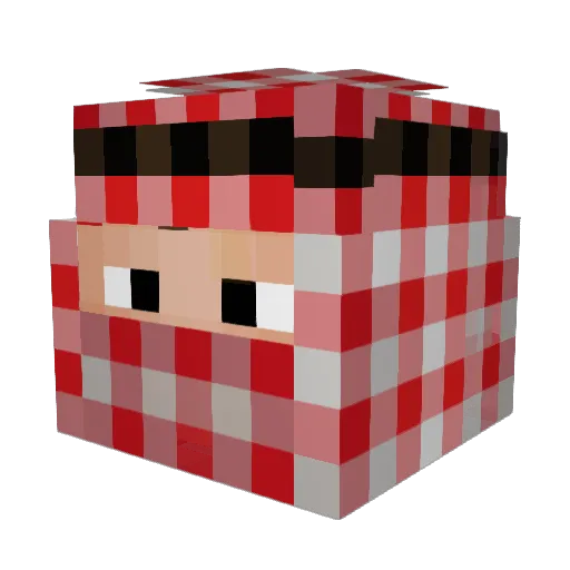 ripoopi Minecraft avatar head, 3D render