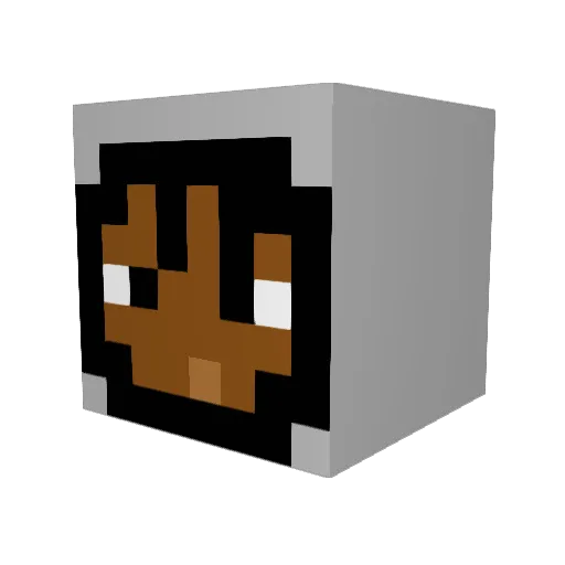 rippkin Minecraft avatar head, 3D render