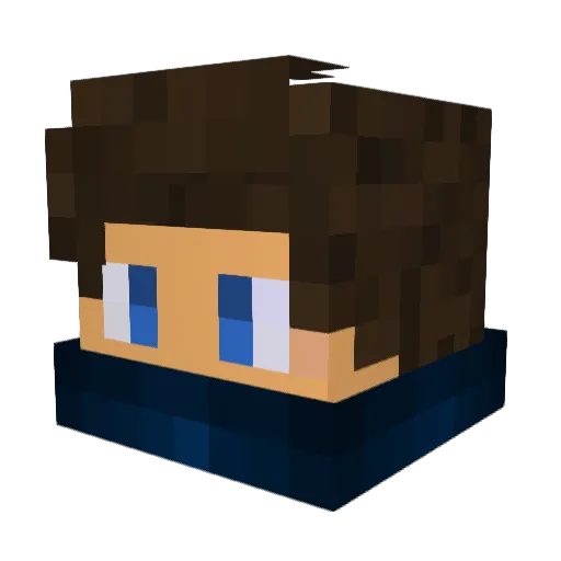 ripple191 Minecraft avatar head, 3D render