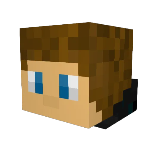 ripplemark Minecraft avatar head, 3D render