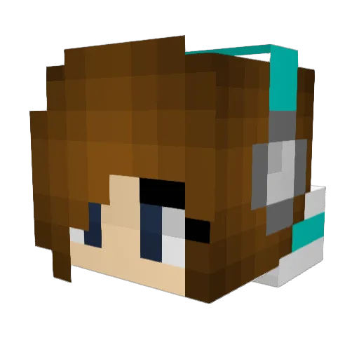 rippytoes Minecraft avatar head, 3D render