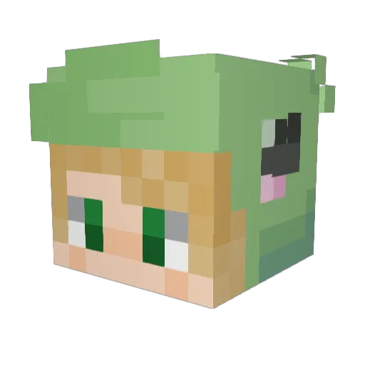 riptide072000 Minecraft avatar head, 3D render