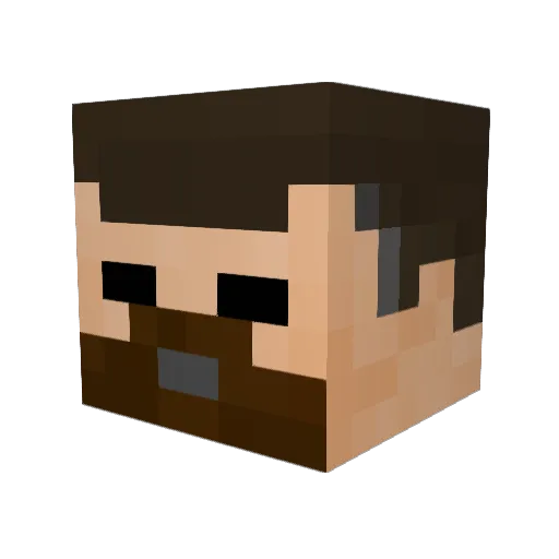 riptide_assassin Minecraft avatar head, 3D render