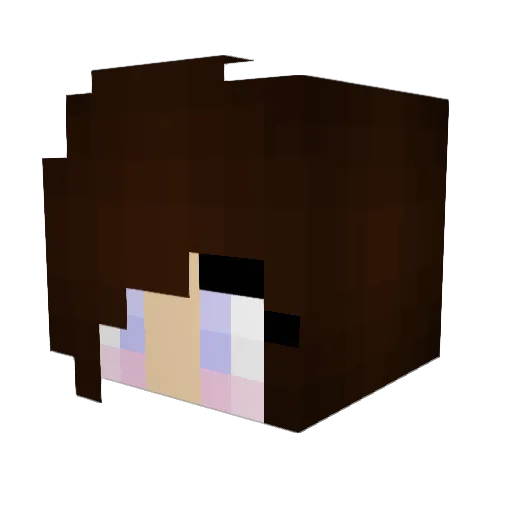 riptidewho Minecraft avatar head, 3D render
