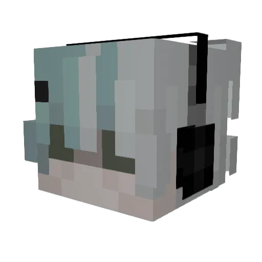 riptm Minecraft avatar head, 3D render