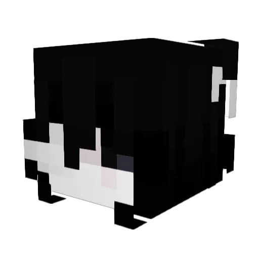 ripxartyvv Minecraft avatar head, 3D render