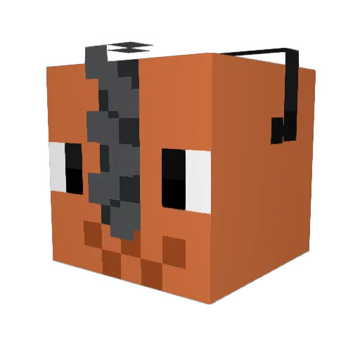 ripyntaryn Minecraft avatar head, 3D render