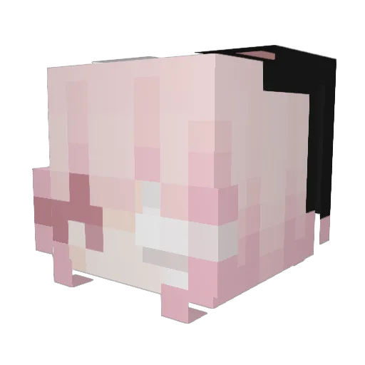 riqBv Minecraft avatar head, 3D render
