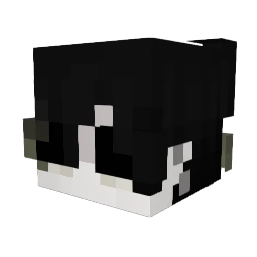 riqqyu Minecraft avatar head, 3D render