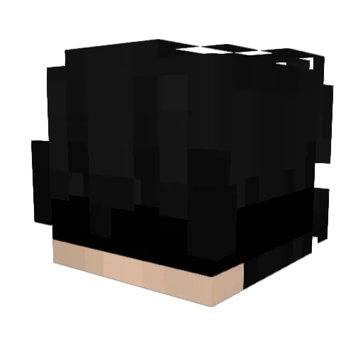 riquezzzz Minecraft avatar head, 3D render