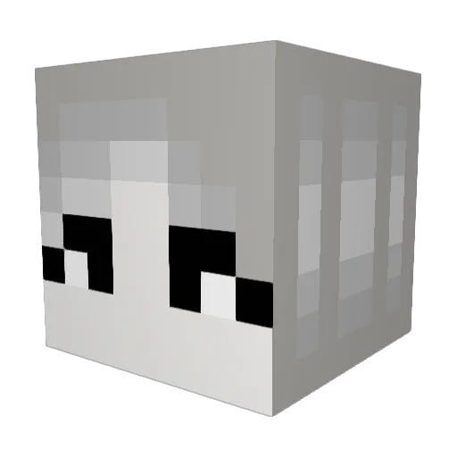 rirari Minecraft avatar head, 3D render