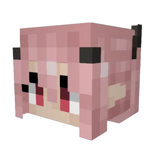 riri763 Minecraft avatar head, 3D render