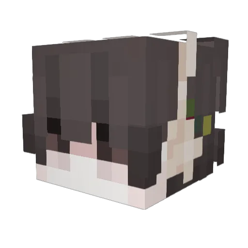 ririchiy0 Minecraft avatar head, 3D render