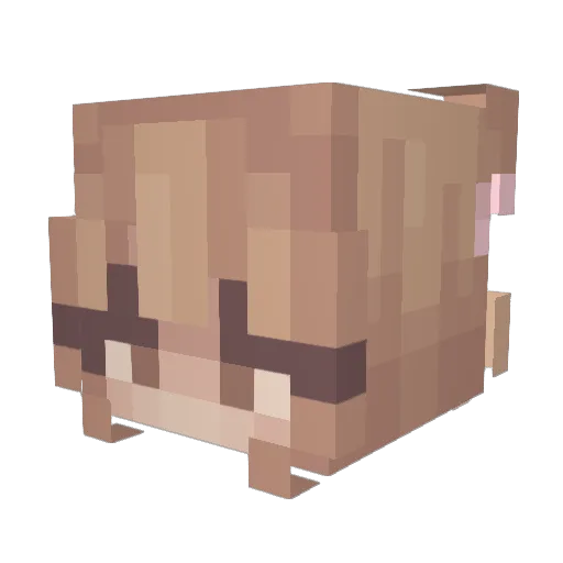 ririi00 Minecraft avatar head, 3D render