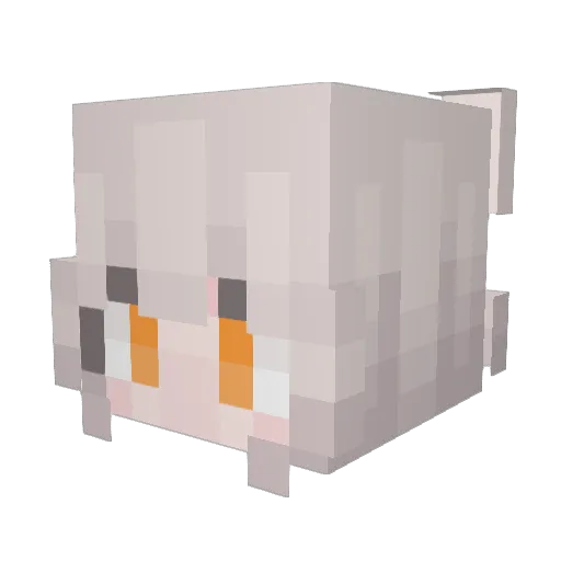 ris700 Minecraft avatar head, 3D render