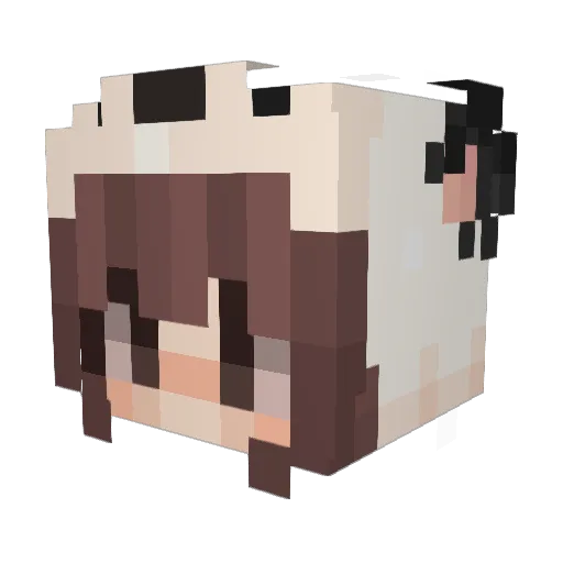 riserora Minecraft avatar head, 3D render