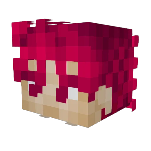 rishycaps12154 Minecraft avatar head, 3D render