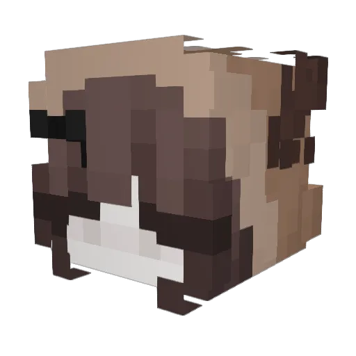 riskels Minecraft avatar head, 3D render