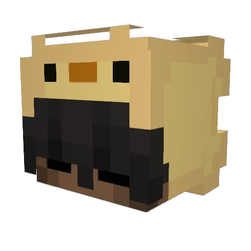 riskytre Minecraft avatar head, 3D render