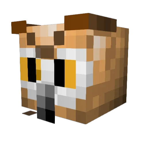 risrassen Minecraft avatar head, 3D render