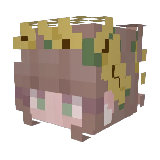 rissalee19 Minecraft avatar head, 3D render