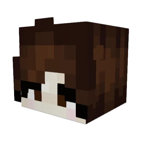 rissalei Minecraft avatar head, 3D render